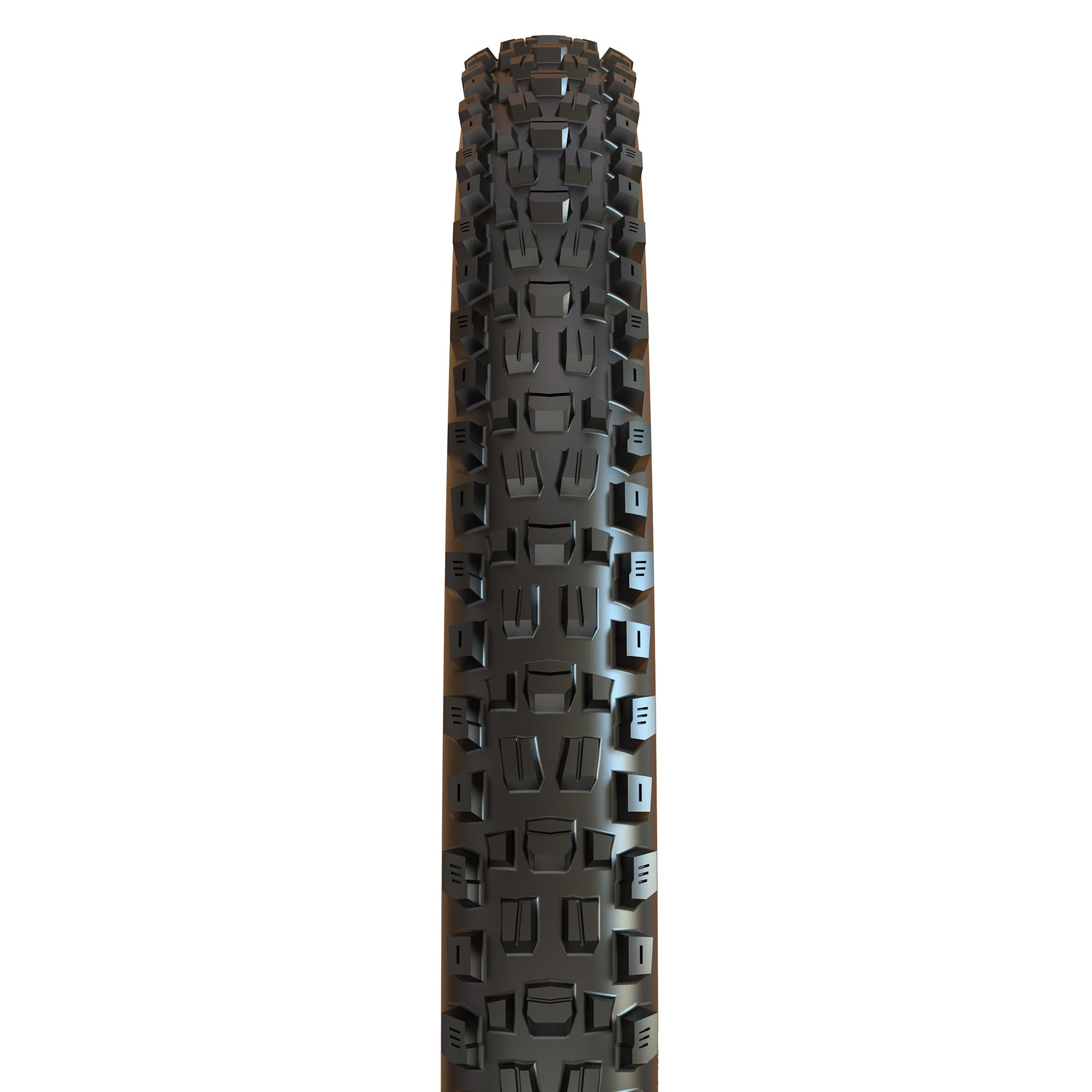 Maxxis Assegai Dual Compound Mountain Bike Tire - 27.5