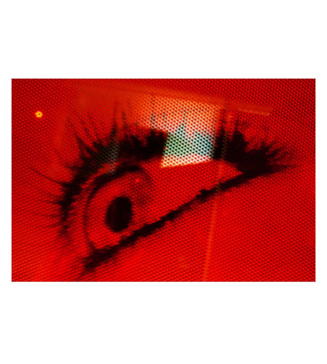 Mika Ninagawa Art Book: Into Fiction/Reality - Japanese Contemporary Photography Collection for Home Decor & Art Lovers