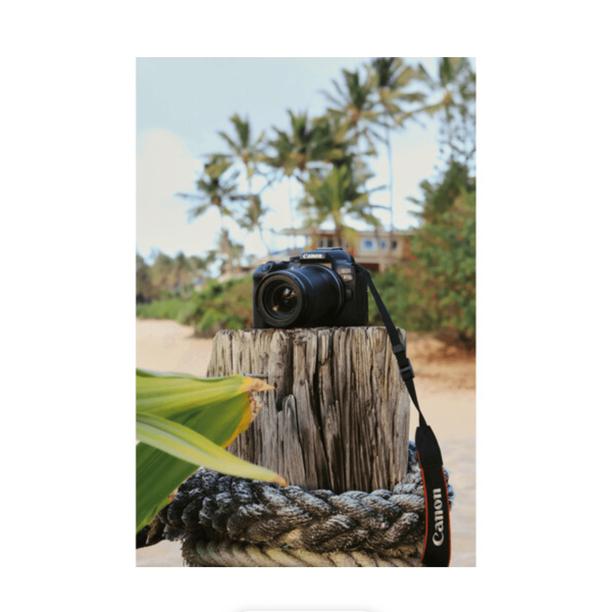 Canon EOS R10 Mirrorless Digital Camera Body Only - 24.2MP APS-C Sensor, 4K Video, Dual Pixel AF - Perfect for Vlogging, Travel & Portrait Photography