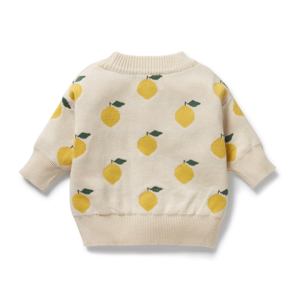 Organic Cotton Lemony Knitted Jacquard Sweater for Women - Soft Casual Pullover for Fall & Winter, Perfect for Office Wear and Weekend Outings