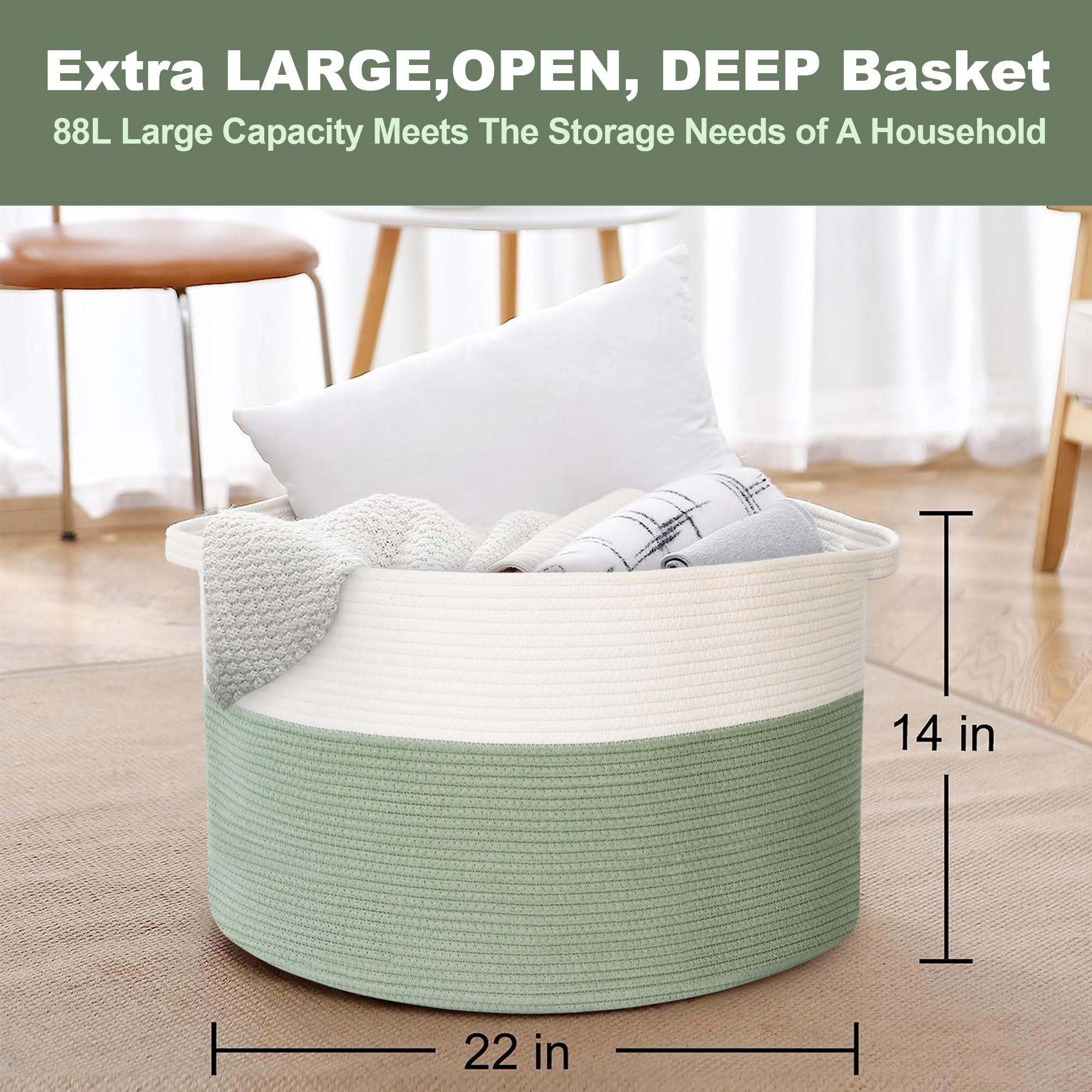 Extra Large 22
