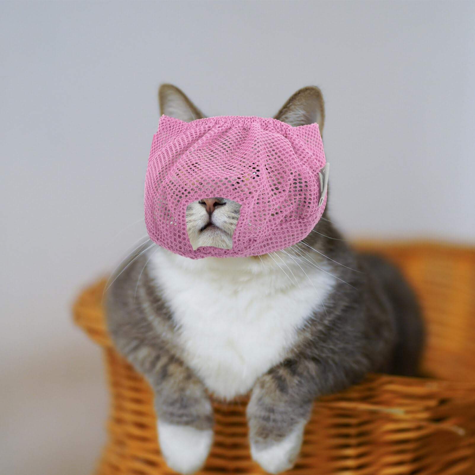 Balacoo Cat Muzzle - Breathable Pet Grooming Muzzle & Recovery Collar for Kittens, Soft Polyester Mesh Shower Net Bag - Prevents Licking & Chewing - Perfect for Vet Visits, Bathing, and Post-Surgery Care