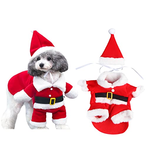 Santa S