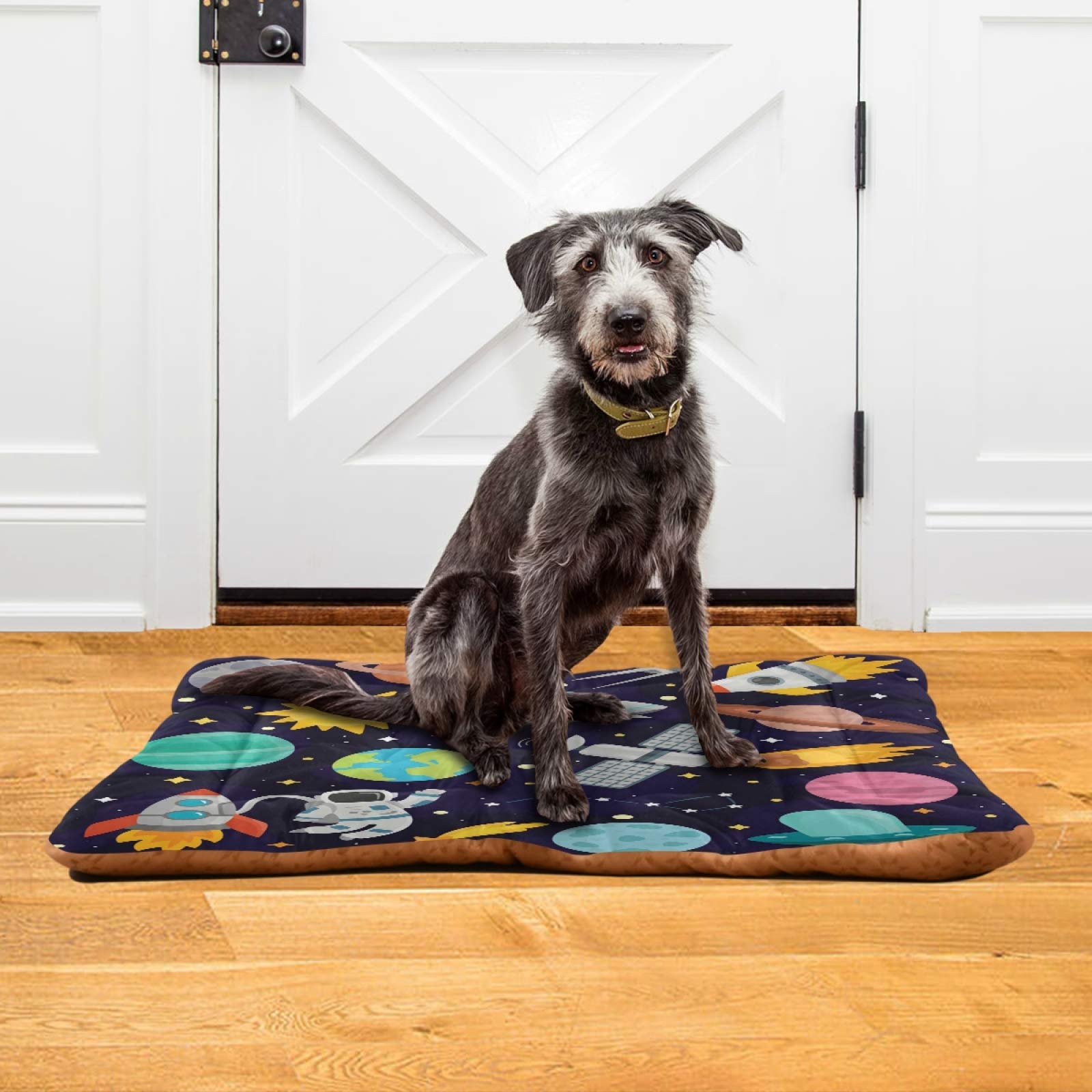 Cartoon Rocket Dog Bed for Small Medium Dogs & Cats - Ultra Soft Rectangle Pet Bed with Calming Design, 24x18 Inch - Perfect for Living Room, Bedroom & Pet Travel