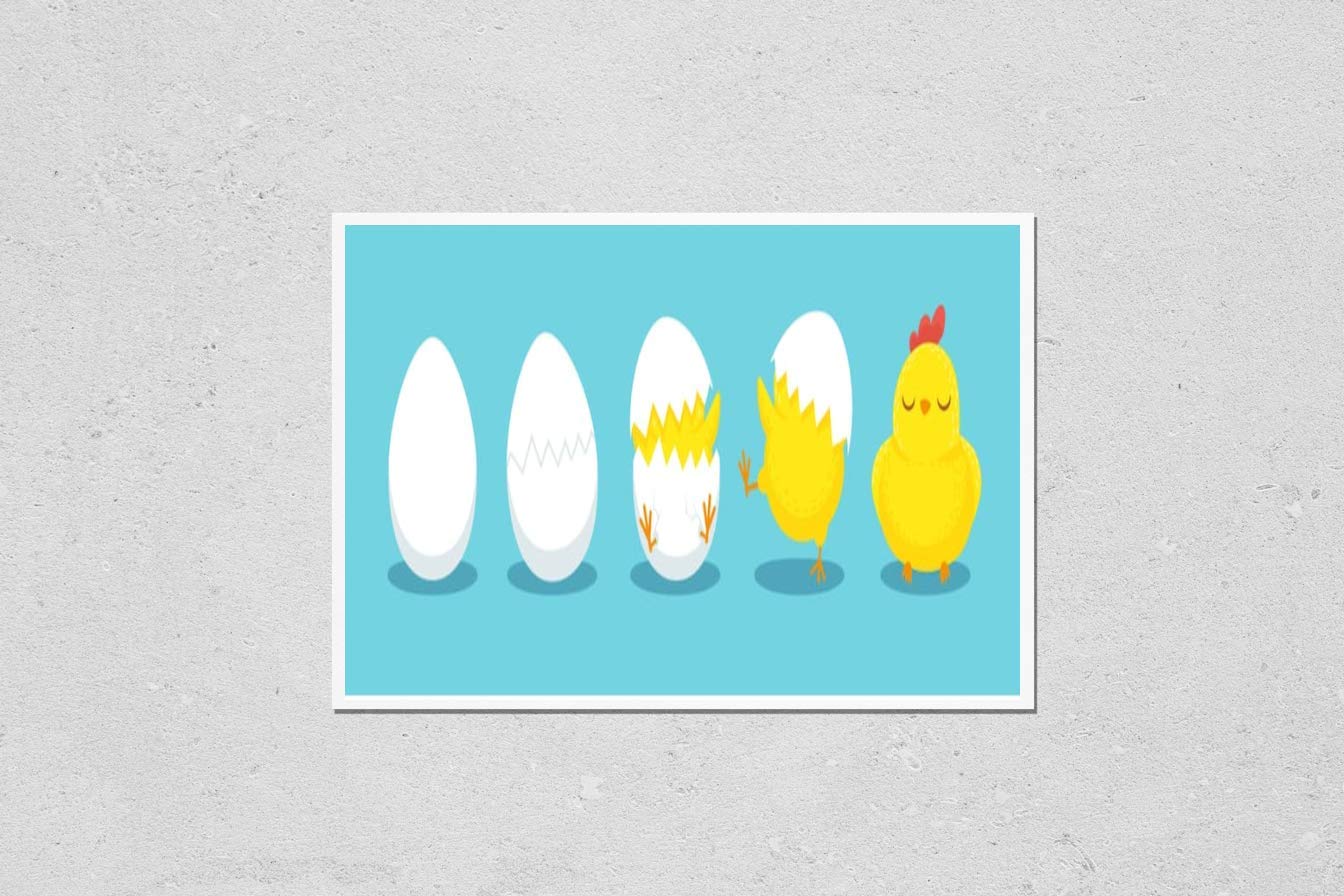 KwikMedia Vintage Chicken Hatching Poster - Cracked Egg Easter Illustration with Newborn Chicks Cartoon - Perfect for Easter Decor, Classroom Art & Nursery Wall Decor