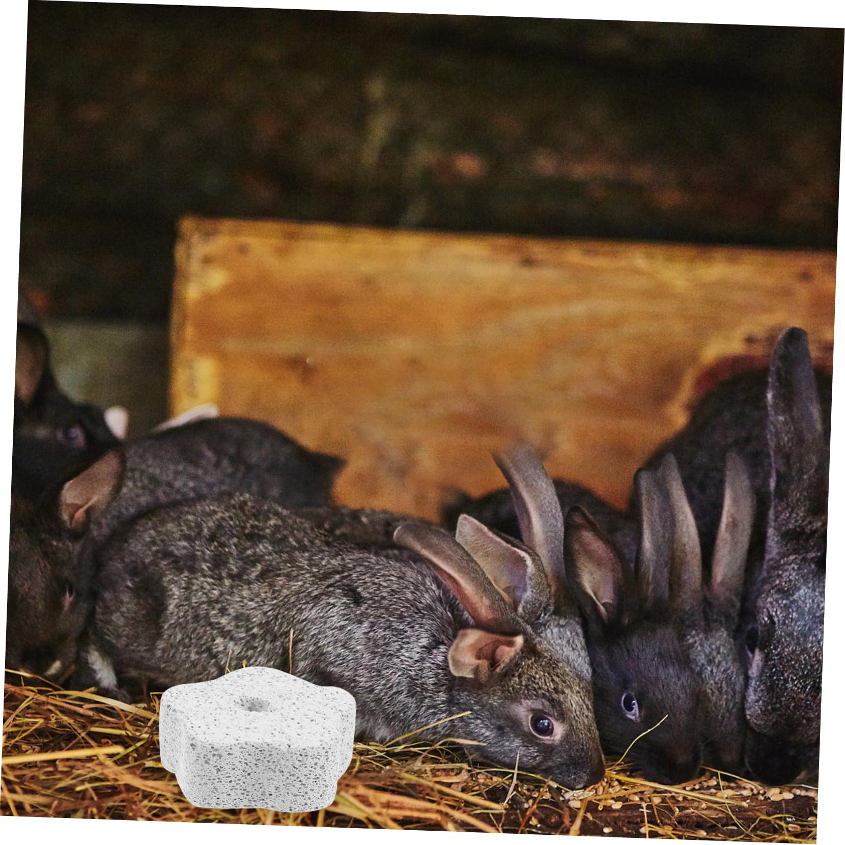 BESPORTBLE 10pcs Guinea Pig Toys & Chinchilla Chew Stones - Natural Molar Stones for Hamsters, Rabbits & Small Pets - Promotes Dental Health & Prevents Boredom - Perfect for Cage Enrichment & Playtime Activities