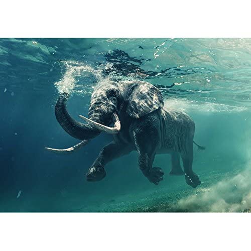 Wall26 - Self-Adhesive Removable Wall Mural: Swimming African Elephant Underwater with Mirrors & Ripples - 100x144 Inch Large Wallpaper for Living Room, Bedroom, or Office Decor
