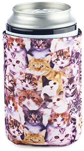Kittens Can