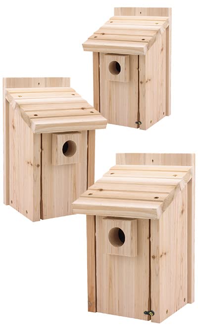 Stokes Bluebird House (3 Pack) - Premium Wooden Birdhouse for Outdoor Garden, Backyard, and Patio - Attracts Bluebirds & Enhances Your Garden Decor