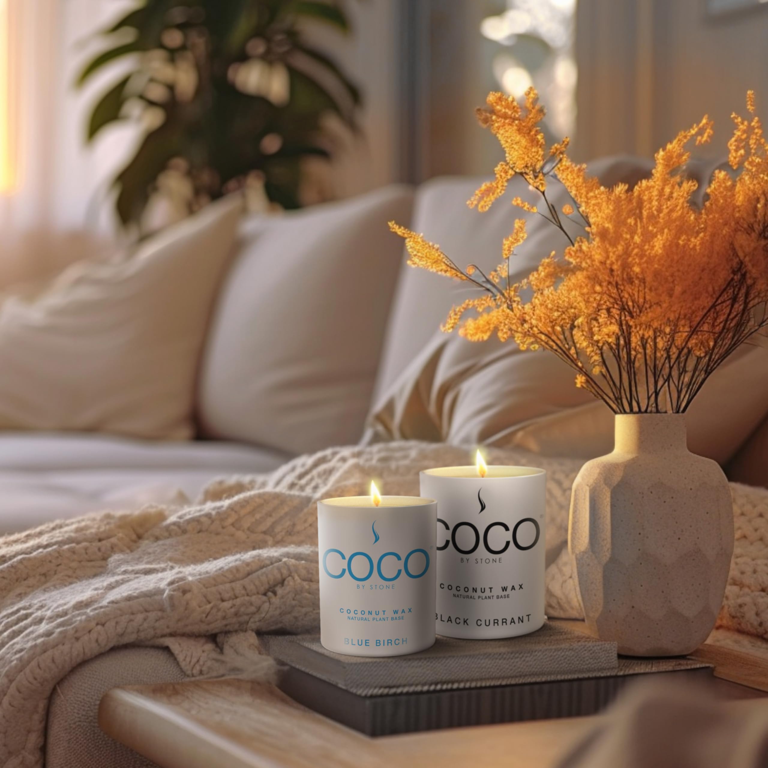 6.5oz Coconut Apricot Wax Candle | Pink Sugar Scented Home Fragrance | Vegan, Cruelty-Free & Clean Burning | Hand Poured Single Wick Candle for Relaxation, Meditation & Home Decor