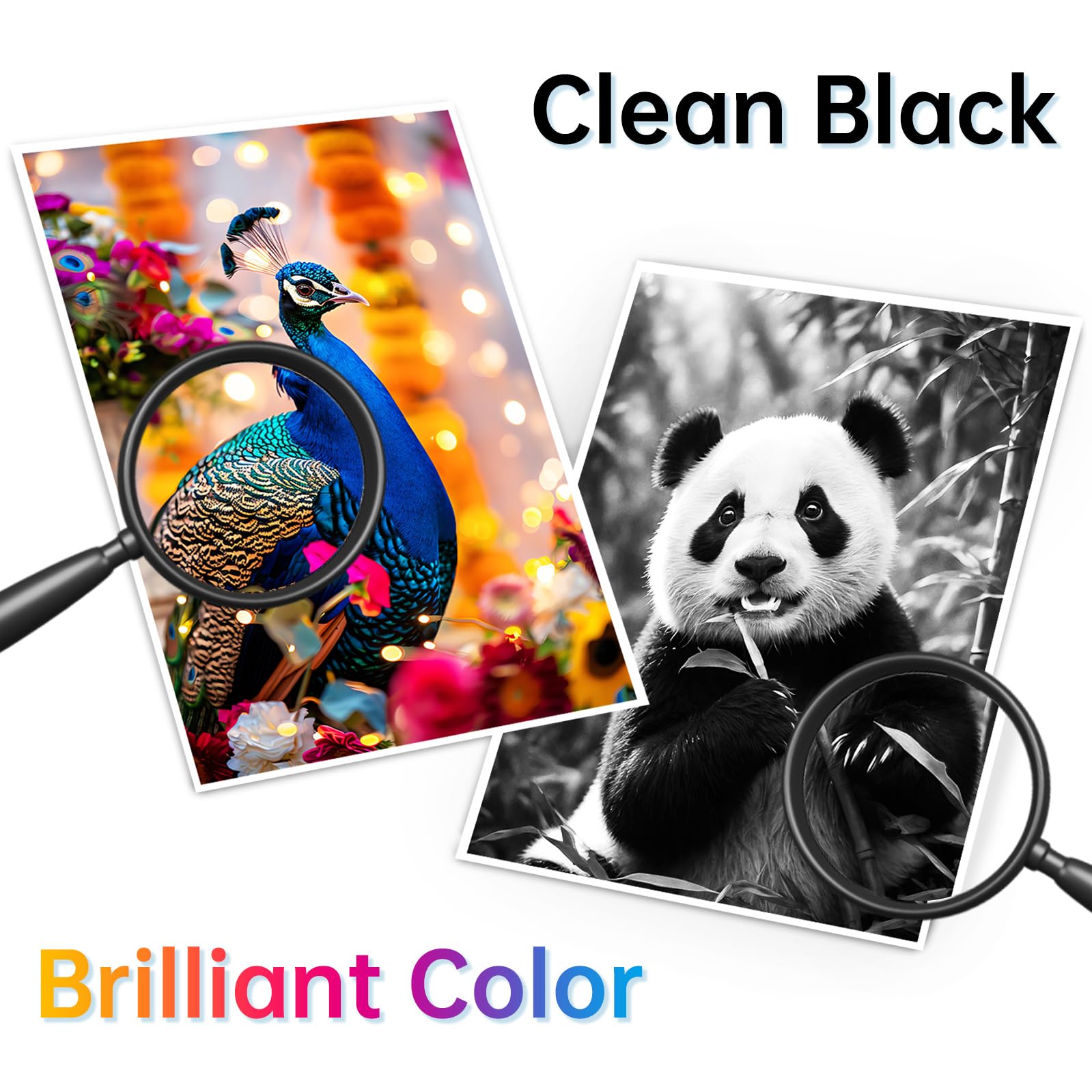 HP 901XL Ink Cartridge Replacement - Black & Color Combo Pack (2 Pack) - Compatible with HP OfficeJet 4500, J4524, J4540, J4550, J4580, J4624, J4680 Printers - Ideal for Home Office Printing, School Projects & Small Business Documents