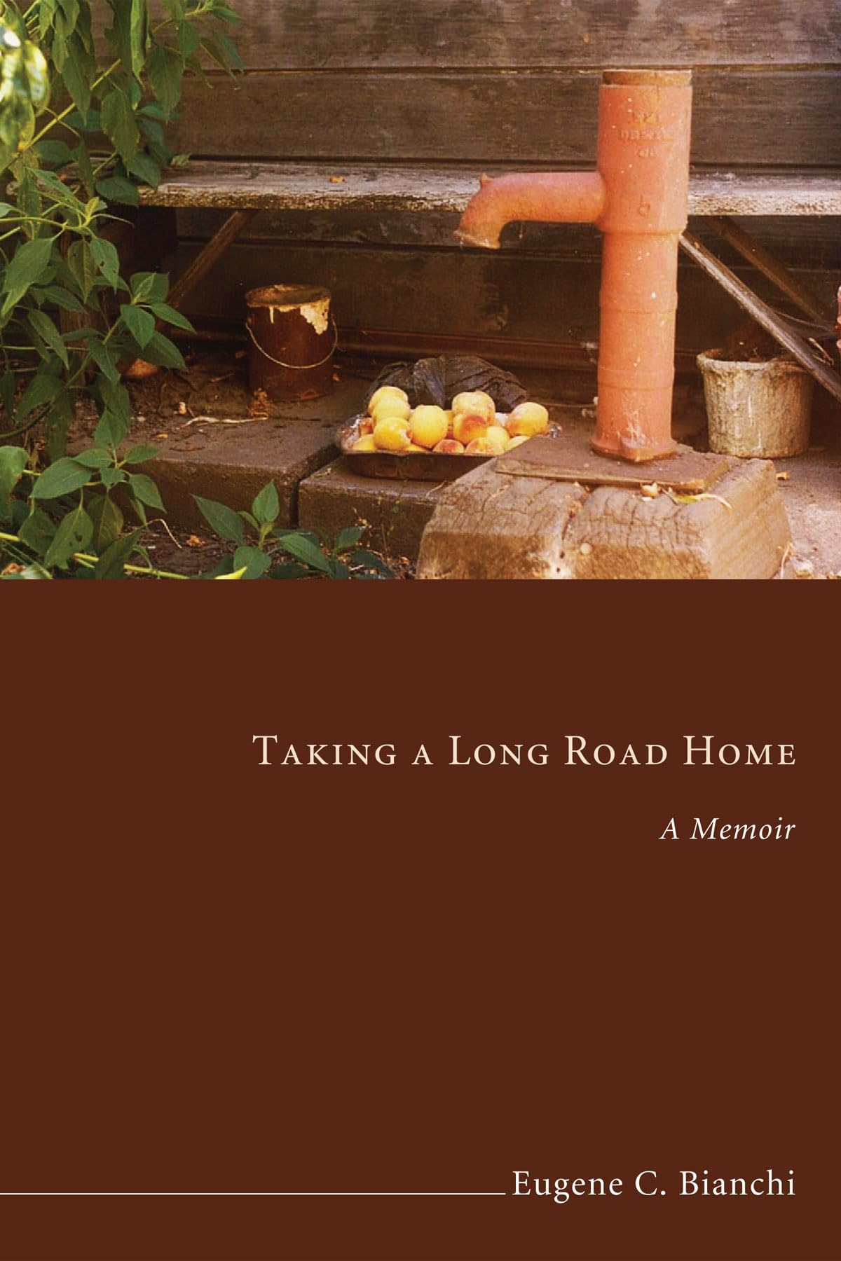 Taking a Long Road Home: A Memoir - Inspirational Journey of Self-Discovery and Personal Growth | Perfect for Book Clubs, Travel Enthusiasts, and Memoir Lovers