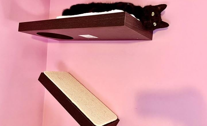PetFusion Cat Activity Wall Shelves - 3-Piece Set or Individual Shelf with Sisal Scratching Surface & Plush Lounging Area, Neutral Design for Home Decor - Easy & Secure Wall Mount for Indoor Cat Climbing & Play