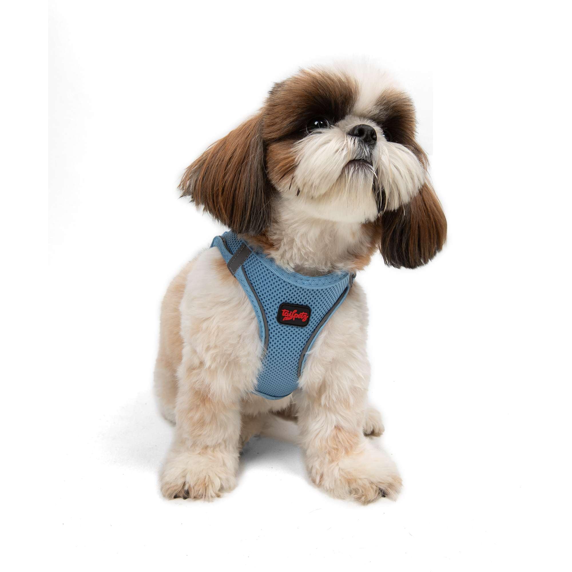 Tailpetz Adjustable No-Pull Dog Harness for Small Dogs - Blue Reflective Step-in Puppy Harness for Training, Walking & Outdoor Adventures (Size S, Fits Small Breed Dogs & Puppies) - Perfect for Daily Walks, Jogging & Pet Training Sessions