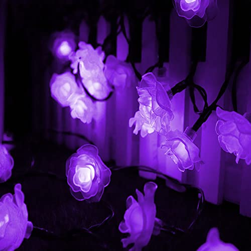 Rose-purple