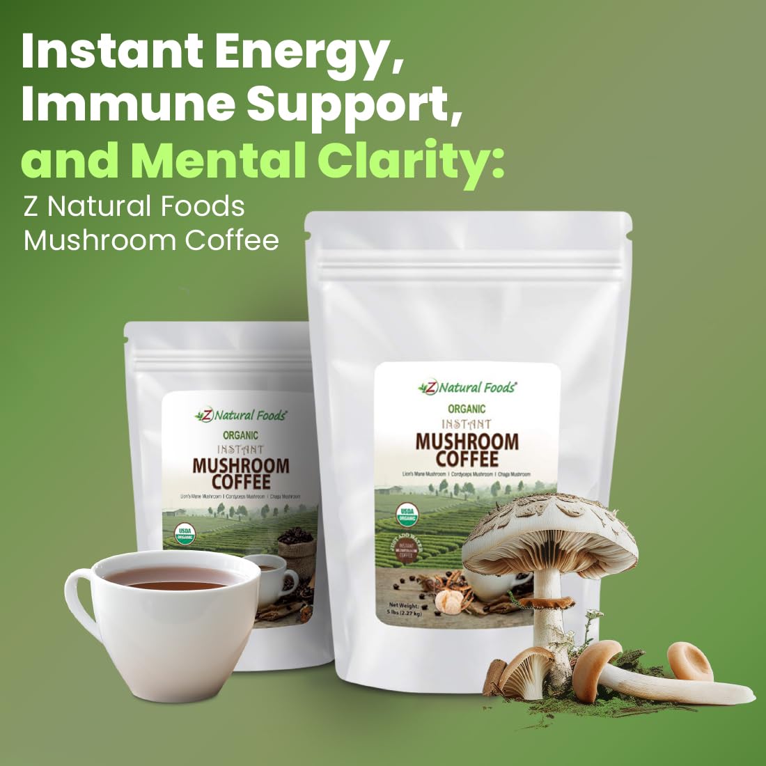 Organic Mushroom Coffee Bulk 5 lb - Instant Superfood Blend with Lion’s Mane, Cordyceps & Chaga - Lightly Sweetened with Cashew Milk & Stevia - Vegan, Gluten-Free, Keto-Friendly - Boost Focus & Energy for Workouts & Mornings