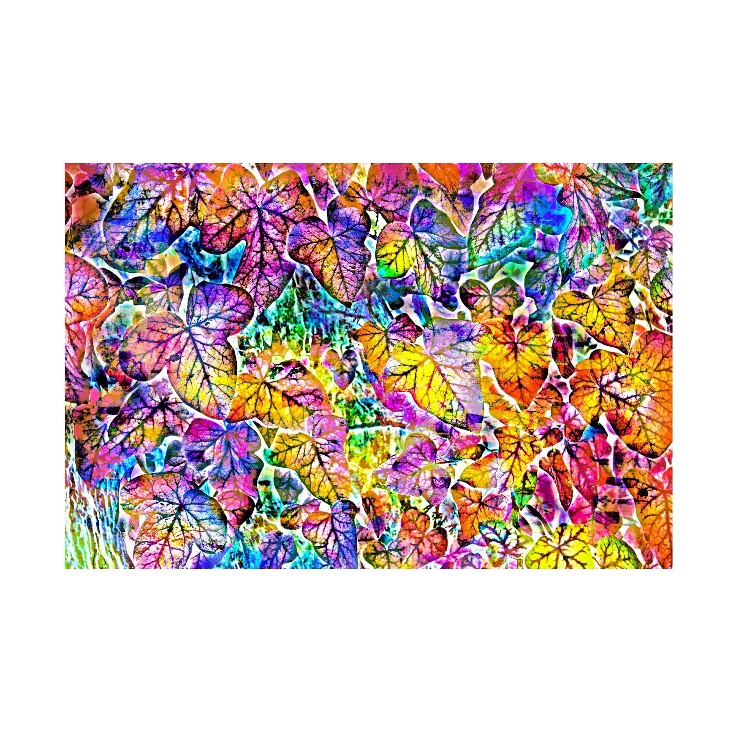 Anita Vincze 'Rainbow Colors 01' Canvas Wall Art Print - Vibrant Abstract Painting for Living Room, Bedroom & Office Decor