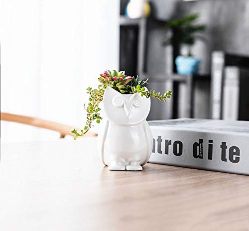 Adorable Animal Succulent Planter - Cute Ceramic Flower Pot for Plants, Home & Office Desk Decor (White) | Perfect for Succulents, Small Cacti & Air Plants - Great Gift Idea for Plant Lovers