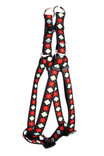 Red Argyle