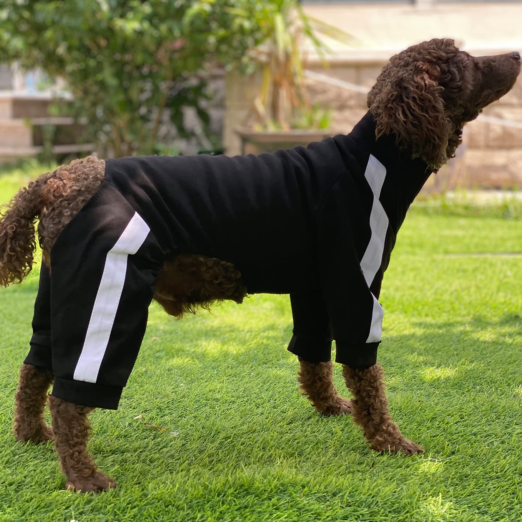 Zipper Dog Sweatshirt - 4-Legs Covered Sport Suit for Small Medium Large Dogs | Breathable Comfortable Dog Sweater in Black | Perfect for Outdoor Adventures, Jogging & Cold Weather Protection