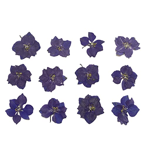 Natural Blue Purple