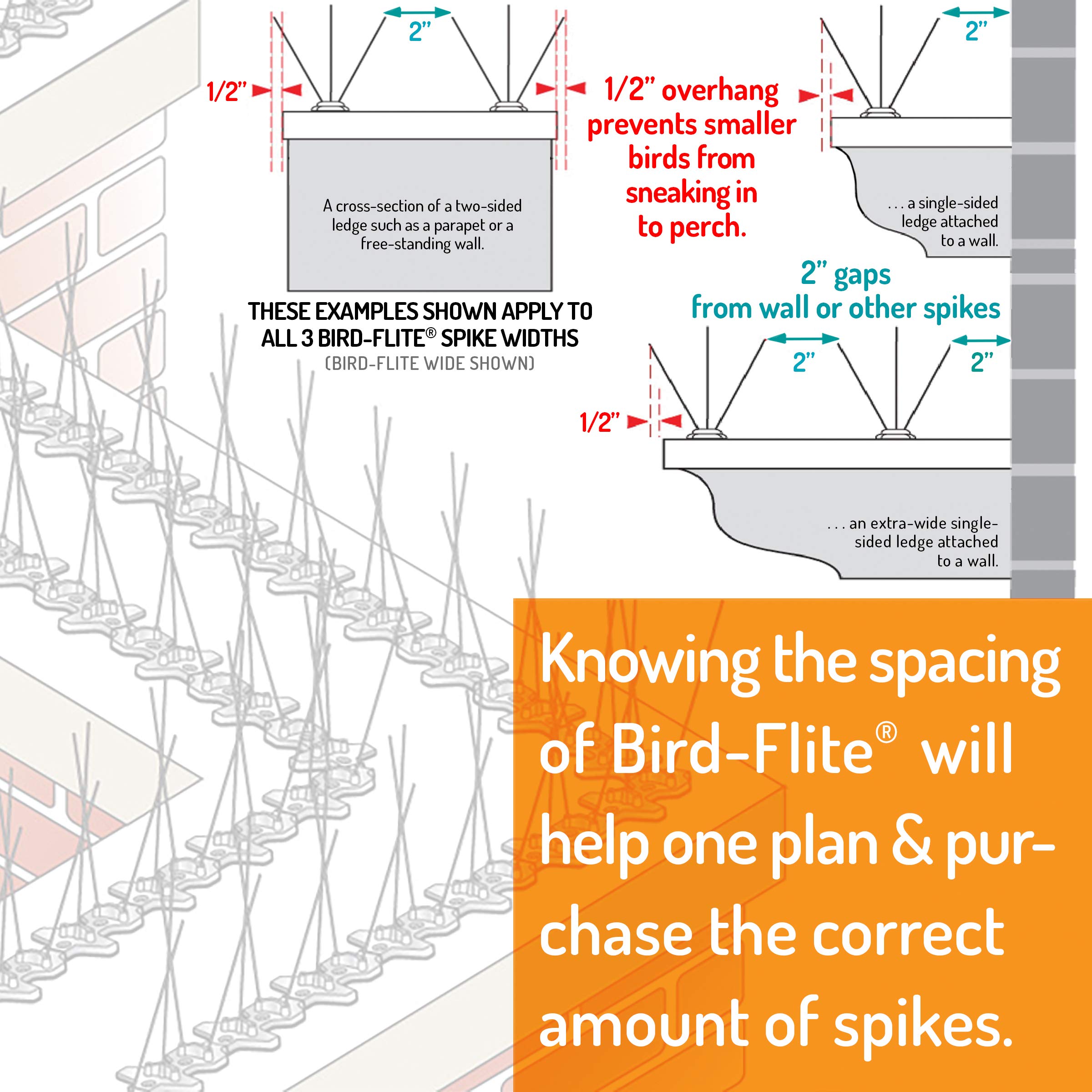 Bird Barrier Bird-Flite Stainless Steel Bird Spikes - 25 Ft. Length with Plastic Base & Adhesive | 5in Wide Metal Pigeon Deterrent Spikes for Roof, Balcony, Window Ledges & Outdoor Protection
