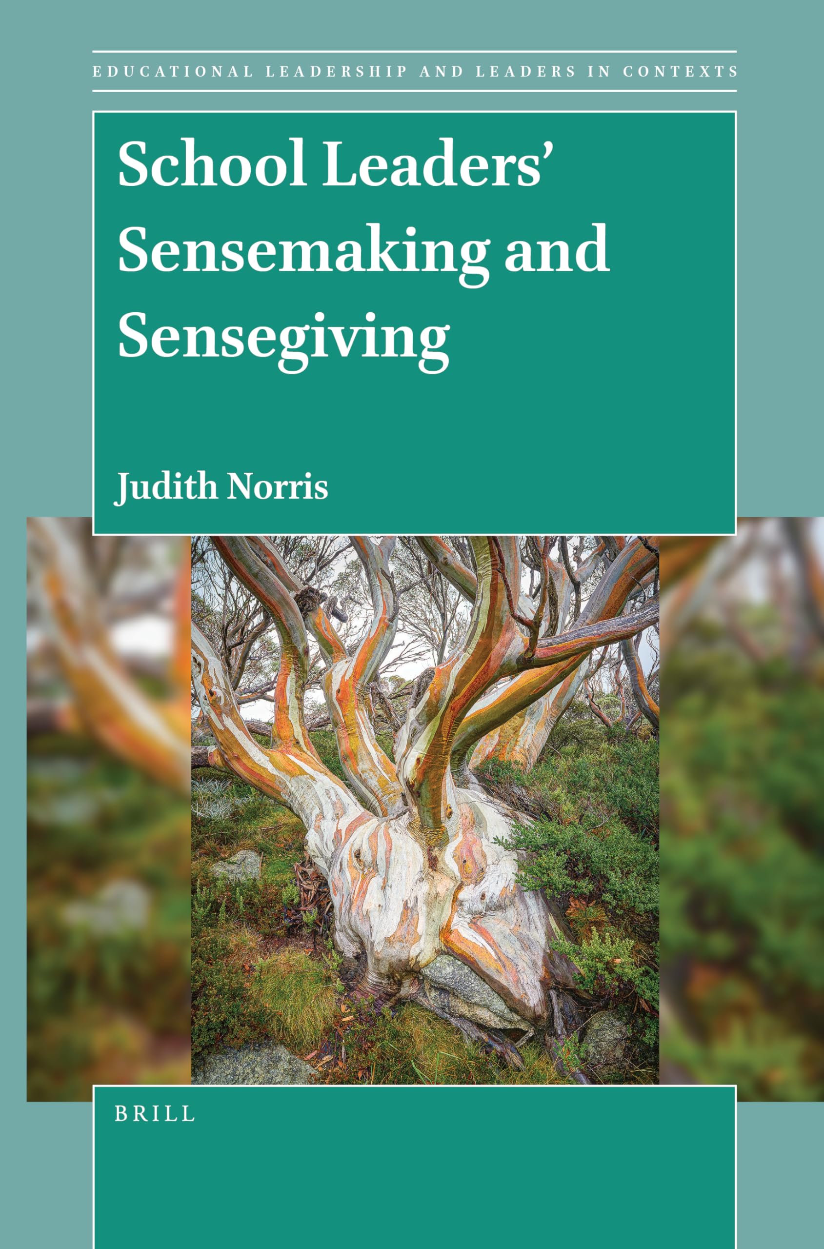 School Leaders’ Sensemaking and Sensegiving - Educational Leadership Book for Administrators & Principals (Volume 8) | Professional Development, Decision Making & School Improvement Strategies