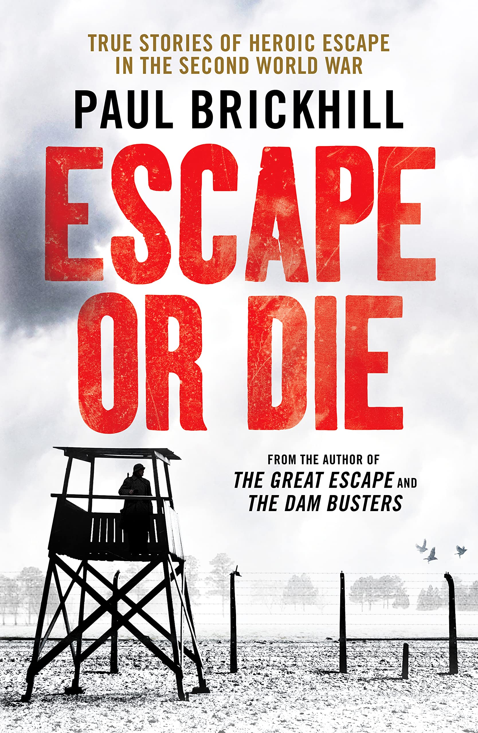 Escape or Die: Thrilling SAS Great Escapes Book Inspired by Damien Lewis - Perfect for Military History Enthusiasts & Adventure Readers | Great for Book Clubs, Gifts & WWII History Buffs