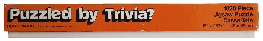 1020 Piece Trivia Puzzle Game - Fun Family & Party Brain Teaser for Adults & Kids | Perfect for Game Nights, Travel & Relaxation