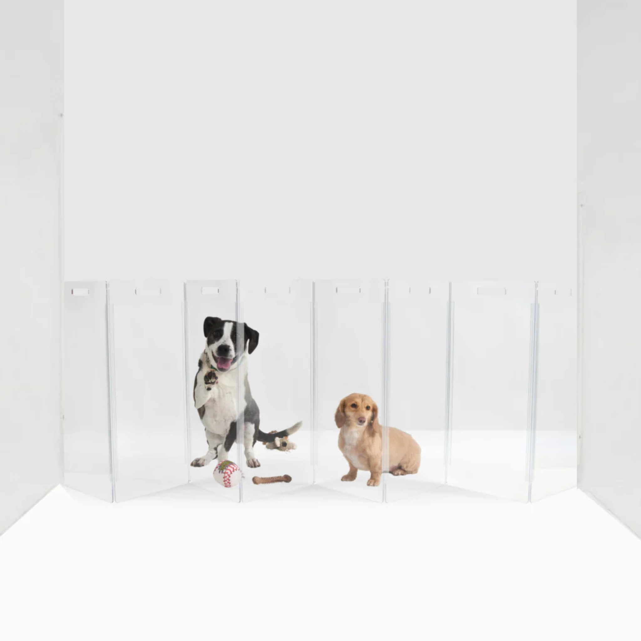Clear Freestanding Zig Zag Panel Pet Gate - Expandable Safety Barrier for Dogs & Cats - Perfect for Doorways, Hallways & Stairs - Home & Office Use
