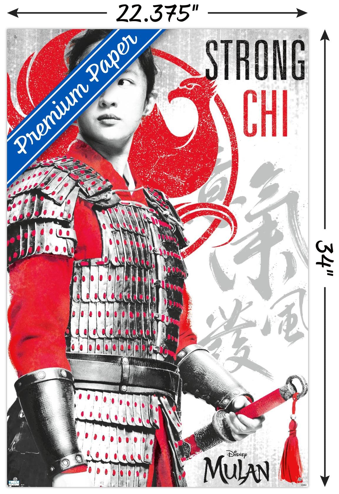 Disney Mulan Inspirational Wall Poster Set with Push Pins - Perfect for Bedroom, Office & Classroom Decor