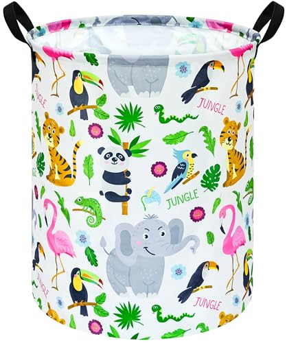 Toucan