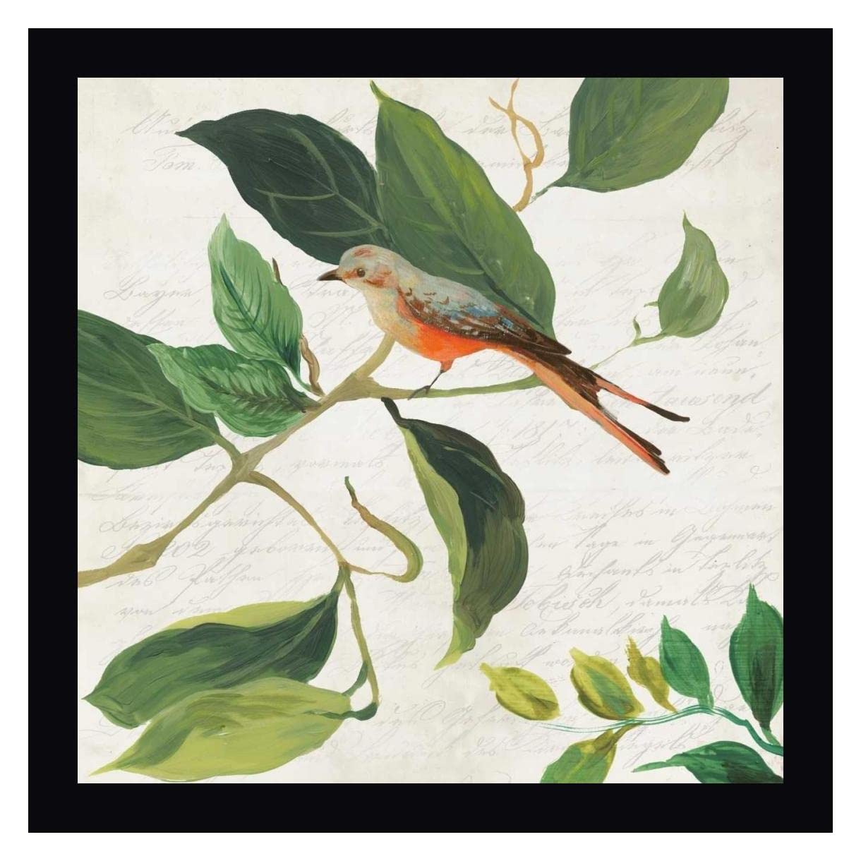 Singing Bird I by Asia Jensen - 20x20 Inch Framed Canvas Wall Art Print with Black Wood Frame - Ready to Hang - Perfect for Living Room, Bedroom, or Office Decor