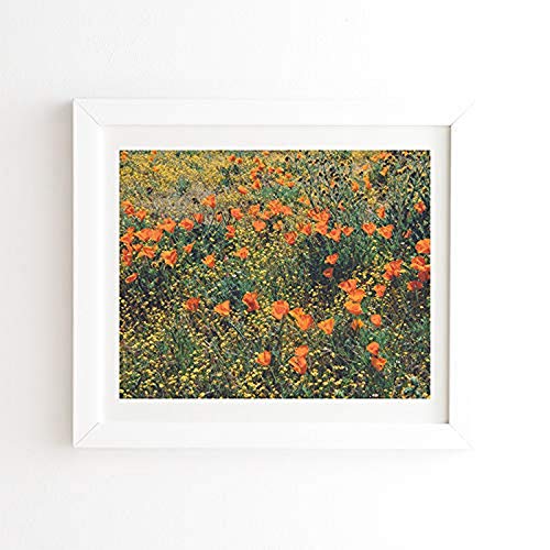 California Poppies