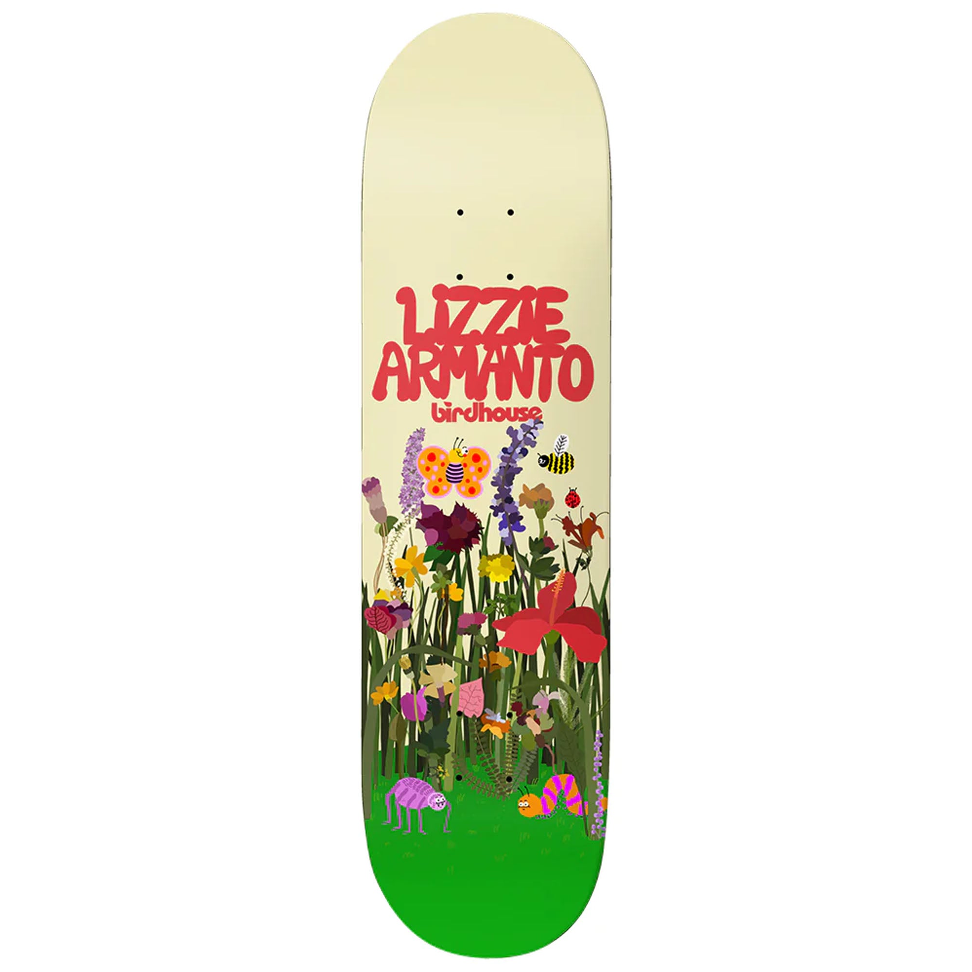 Birdhouse Armanto In Bloom 8.0 Skateboard Deck - Professional Skateboard for Street & Park Riding - Perfect for Beginners & Advanced Skaters