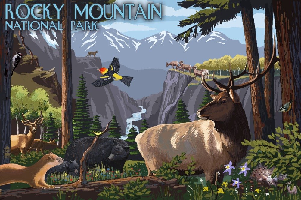 Rocky Mountain National Park Wildlife Utopia 49027 - Signed 24x36 Art Print, Wall Decor Poster for Living Room, Office & Home Decor