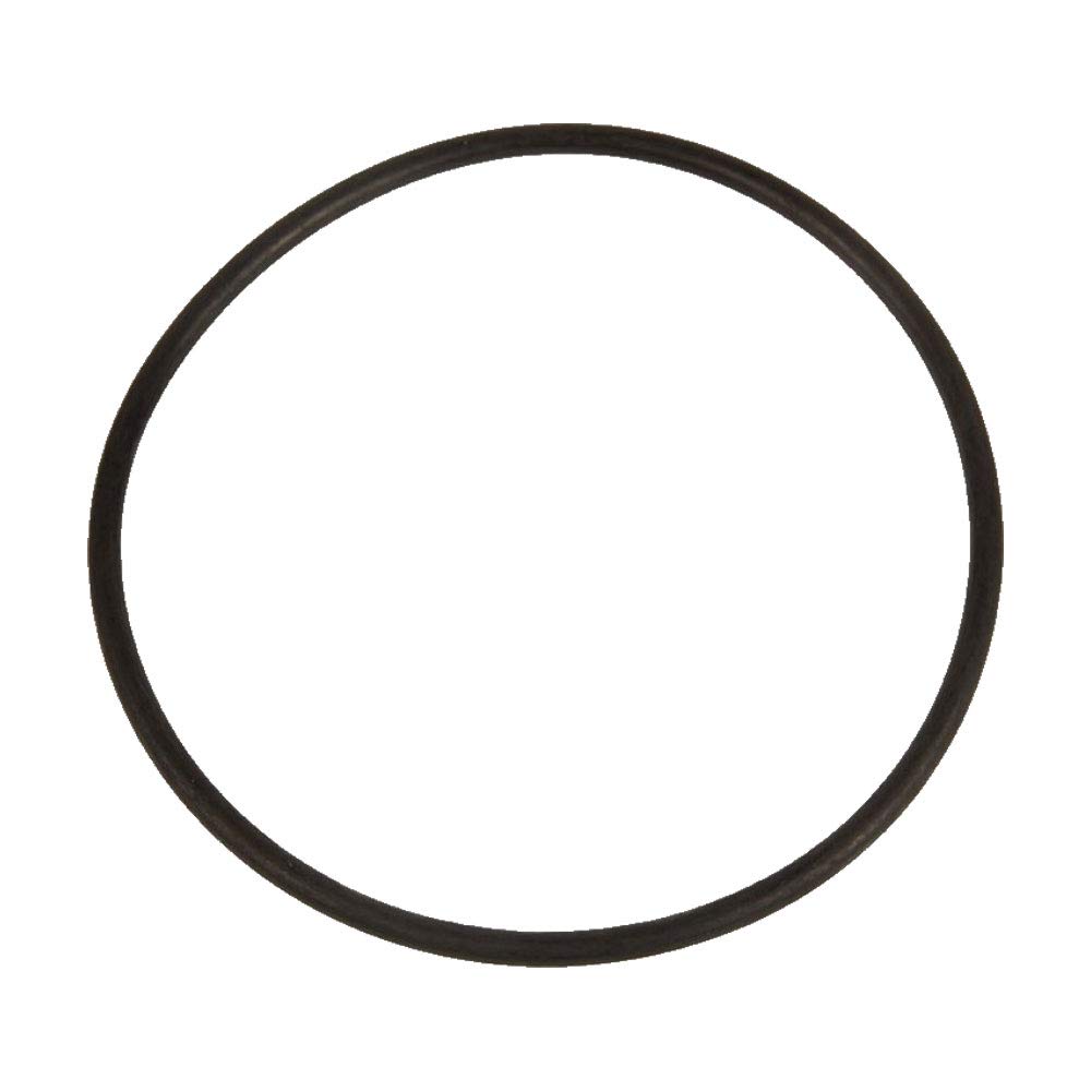 Rx Clear O-Ring Replacement for Niagara Pump Housing - Durable Swimming Pool Pump Repair Part | Perfect for Pool Maintenance & Water Circulation Systems