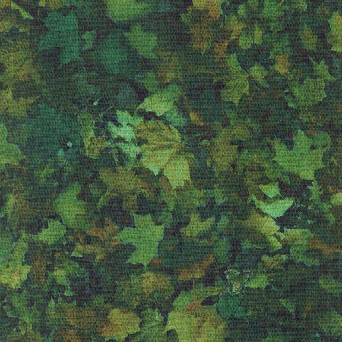 Quilting Treasures Fabrics Open Air Leaves Evergreen - Premium Cotton Fabric for Quilting, Sewing & DIY Crafts - Perfect for Home Decor, Apparel & Patchwork Projects