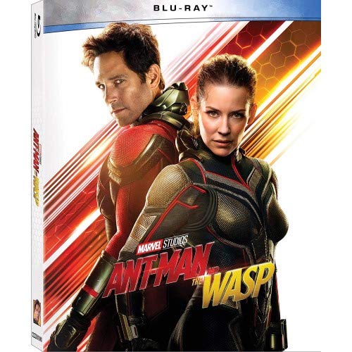 Ant-Man & the Wasp Marvel Action Figures - Collectible Superhero Toys for Kids & Adults | Perfect for Movie Nights, Birthday Gifts & Marvel Collections