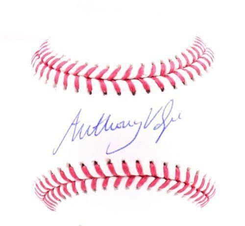 Anthony Volpe Autographed OML Baseball - Official MLB Licensed - Signed Collectible Baseball for Fans - Perfect for Display, Memorabilia Collections, and Yankees Gifts