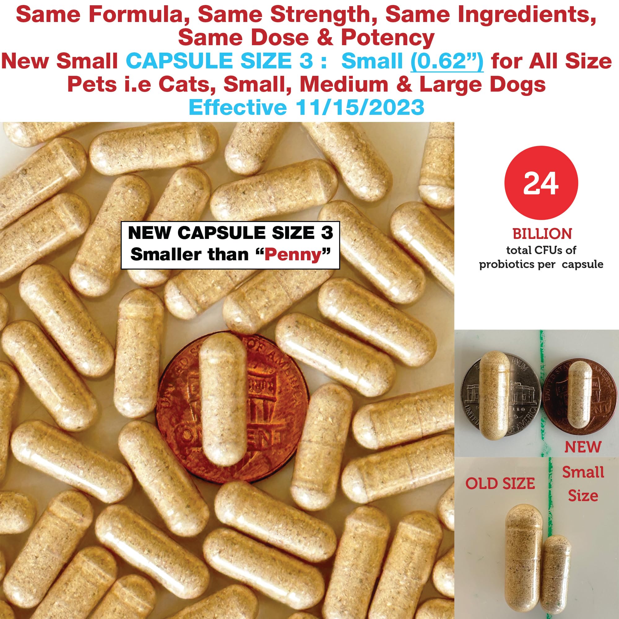 Azovast Plus Kidney Health Supplement for Dogs & Cats - 720 Capsules - Supports Kidney Function & Manages Renal Toxins - No Refrigeration Needed - Made in USA | Ideal for Senior Pets & Pets with Kidney Issues