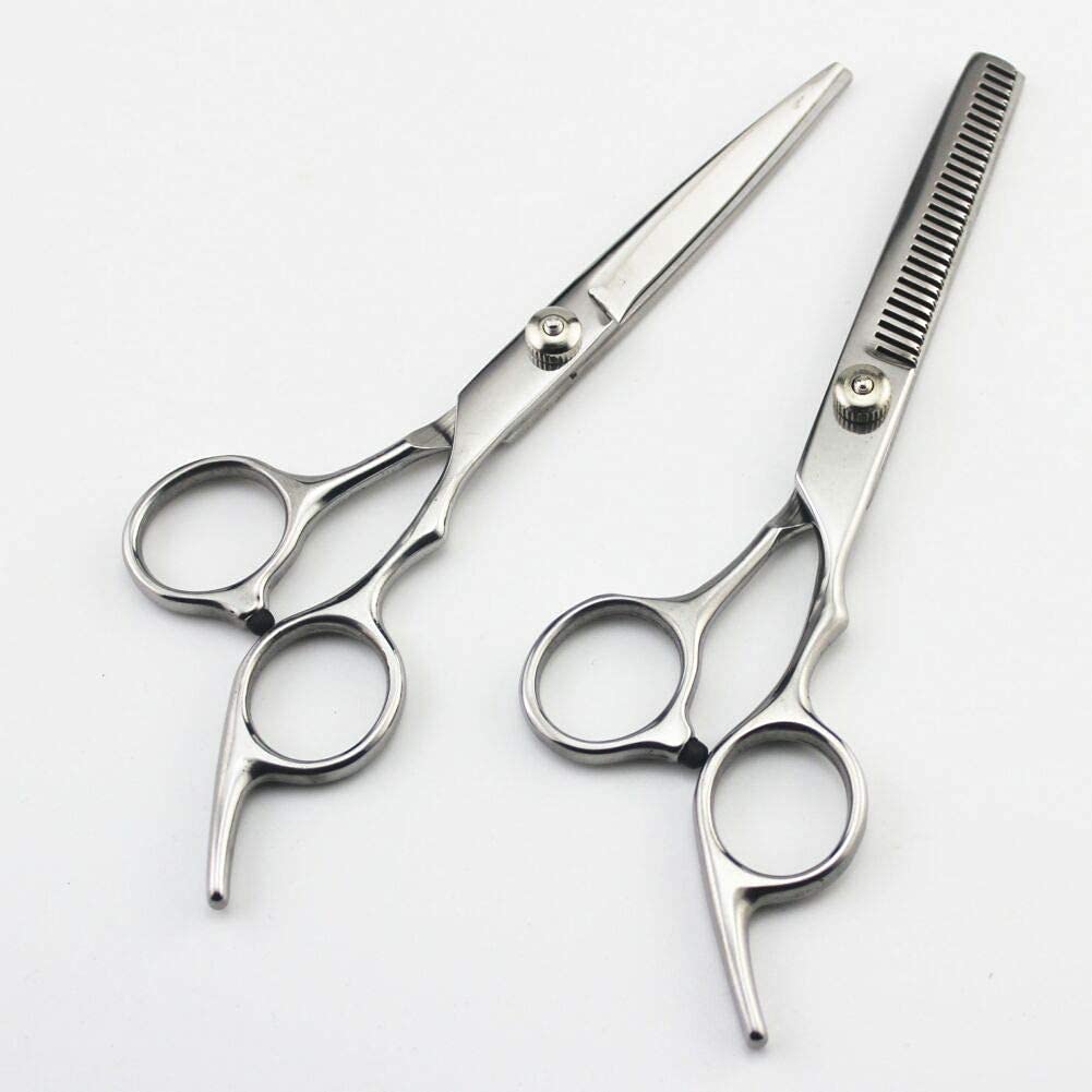 Professional 6 Inch Hairdressing Scissors Set - Barber Shears, Thinning Scissors & Styling Shears (Silver) for Salon, Home Haircuts & Professional Grooming