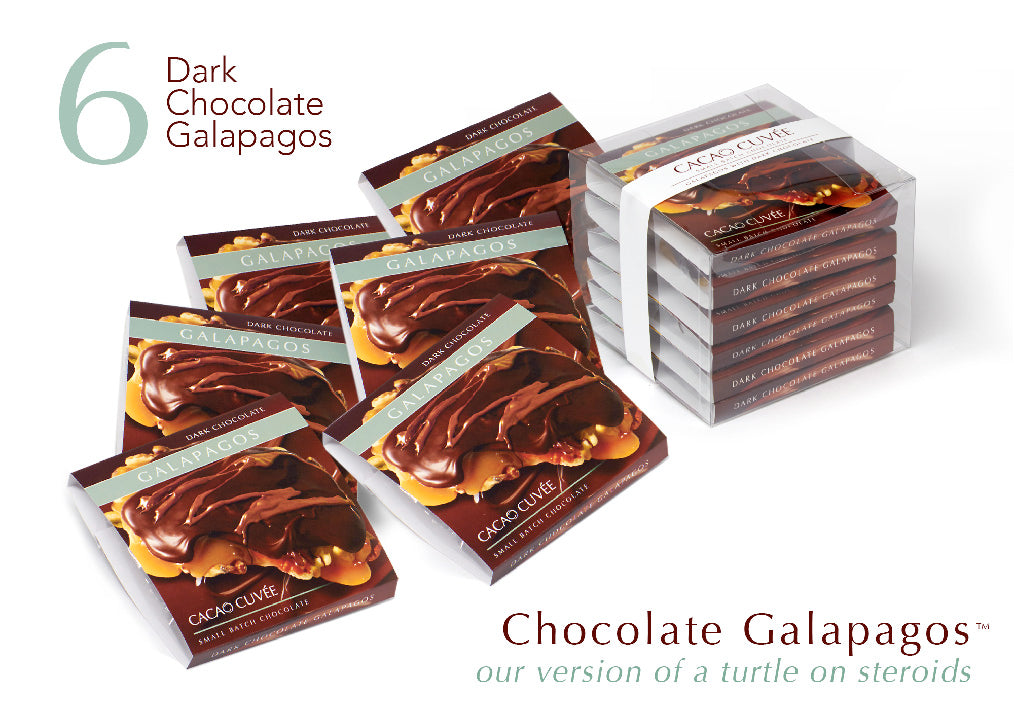 Premium Dark Chocolate Galapagos Turtles - 6-Piece Gourmet Gift Box | Perfect for Holidays, Birthdays & Corporate Gifts