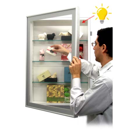 Premium Metal Framed Shadow Box Display Case with Glass Shelves & Built-in LED Lighting - 12