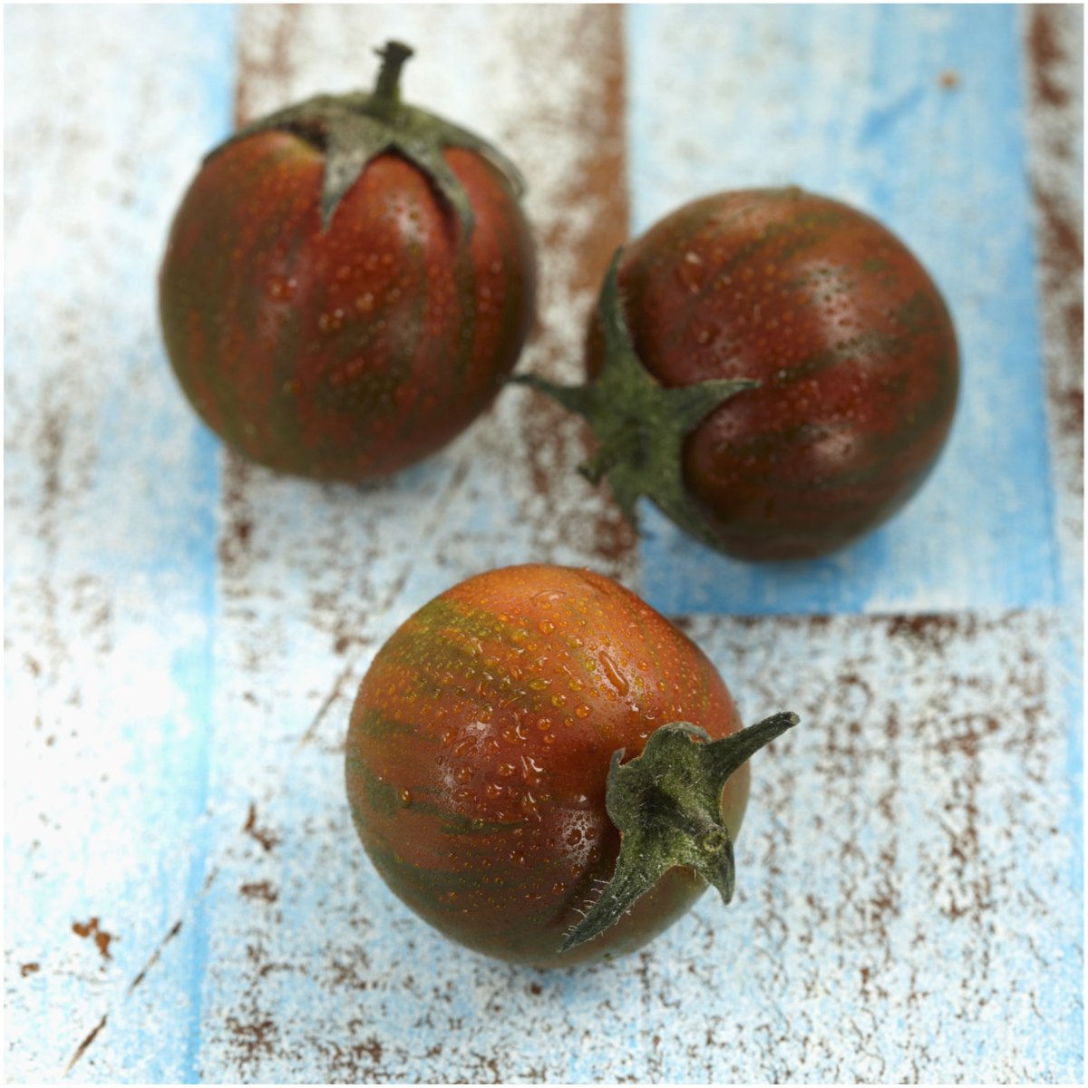 Organic Black Cherry Tomato Seeds for Planting - Non-GMO Heirloom, Untreated, Indeterminate Variety - Grow Juicy Sweet Tomatoes in Home Garden, Containers or Raised Beds - Perfect for Salads, Snacking & Fresh Eating (1 Pack)