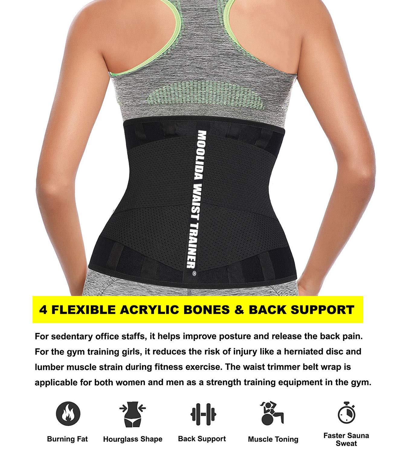 Moolida Waist Trainer Belt for Women & Men - Slimming Workout Belt, Posture Corrector & Back Support - Ideal for Gym, Yoga & Daily Wear