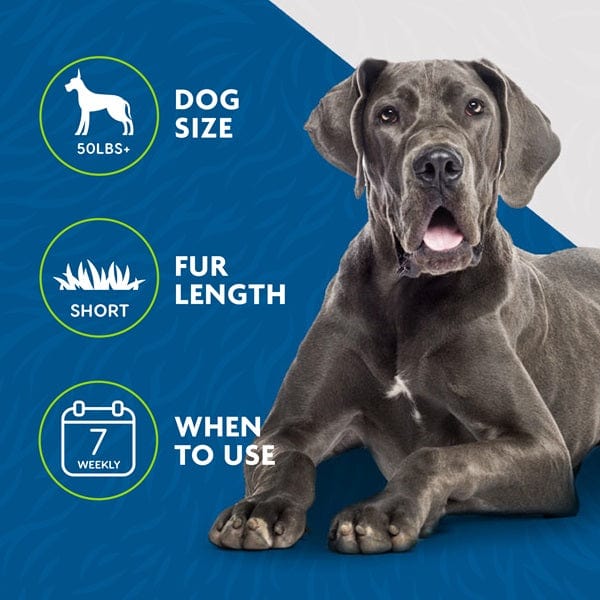 FURminator Large Dog Deshedding Tool for Short Hair - Reduce Shedding & Grooming at Home for Labs, Bulldogs & More