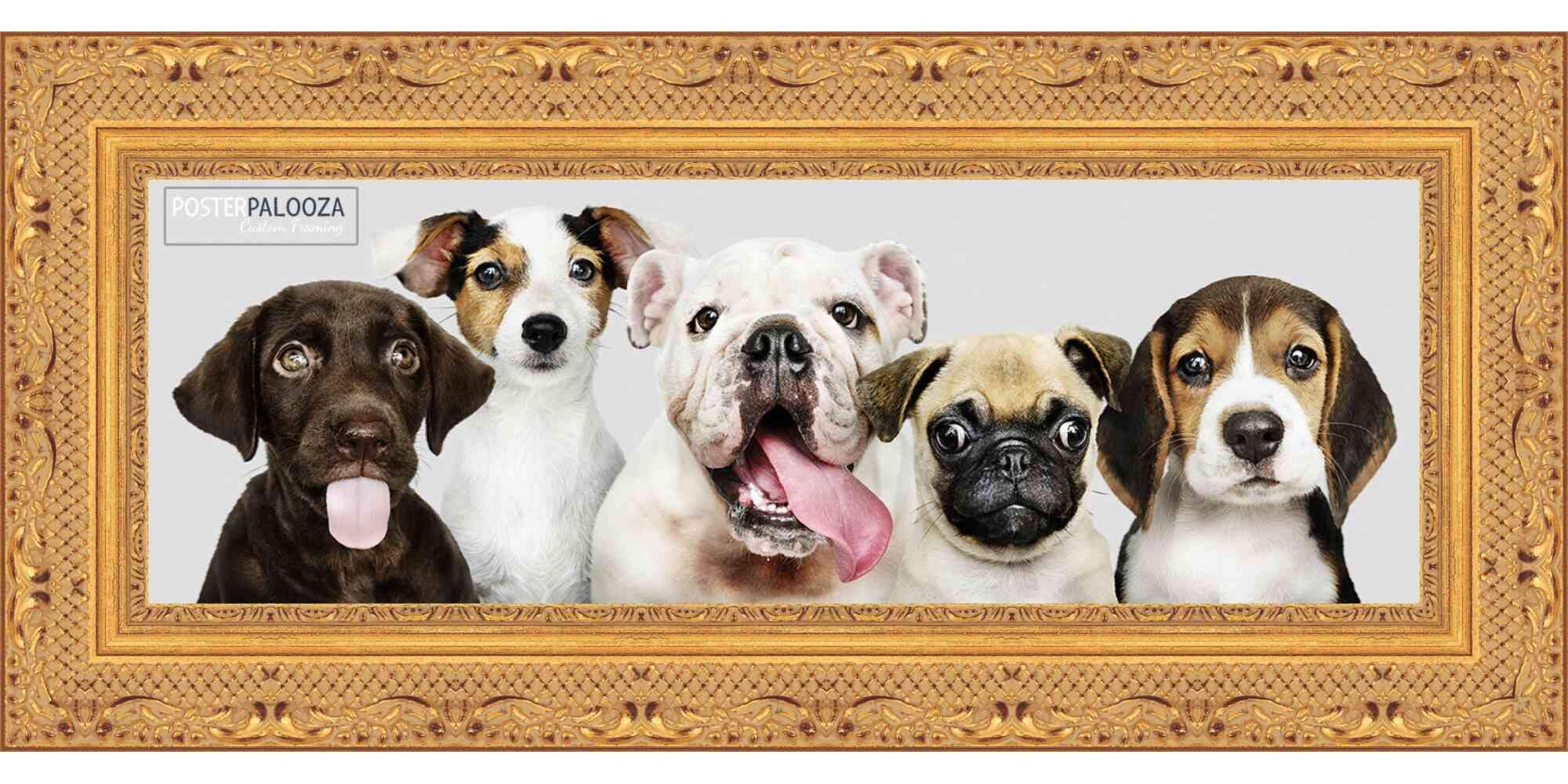 Ornate Gold 13.5x40 Wood Panoramic Picture Frame with UV Protective Acrylic & Foam Backing - Perfect for Wall Art, Home Decor & Wedding Photos