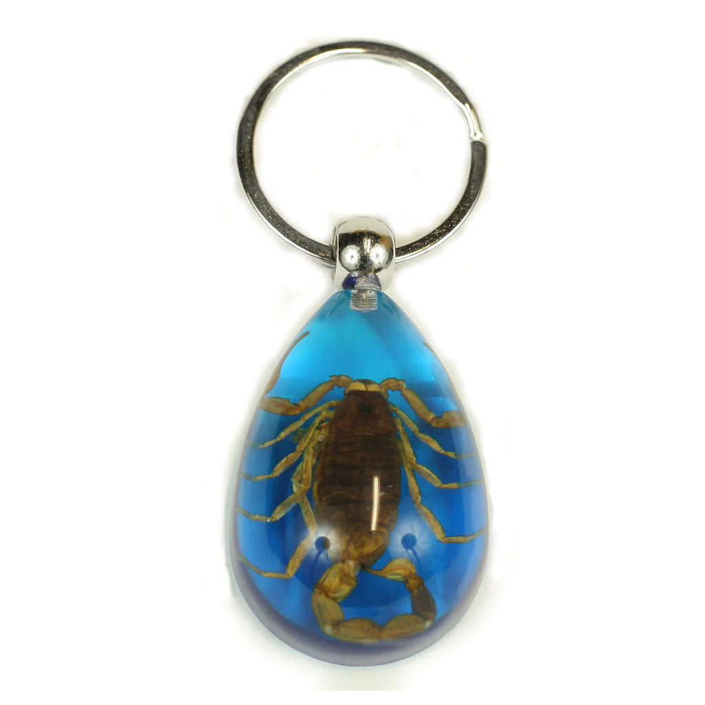 Real Golden Scorpion Encased in Clear Acrylic Keychain - Unique Souvenir, Gothic Jewelry & Conversation Starter for Backpacks, Gifts, and Collections