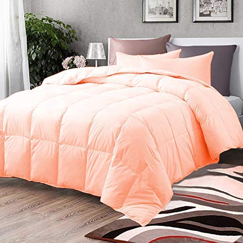 All-Season Peach Down Alternative Quilted Comforter Set - 100% Cotton 800 Thread Count - Duvet Insert or Standalone Comforter - 3 Piece Full/Queen Size - Soft & Breathable for Year-Round Comfort - Perfect for Master Bedroom, Guest Room, or Dorm Decor